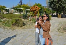 The Nature of Bulgaria’s Socialist State