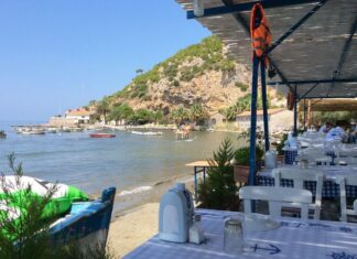 A Journey Home Turns Dangerous