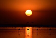 Peace Brings Prosperity to Serbia