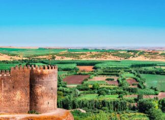 Belgrade as the Bulwark of Hungary