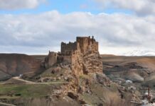 Fear of Gypsies on the Road